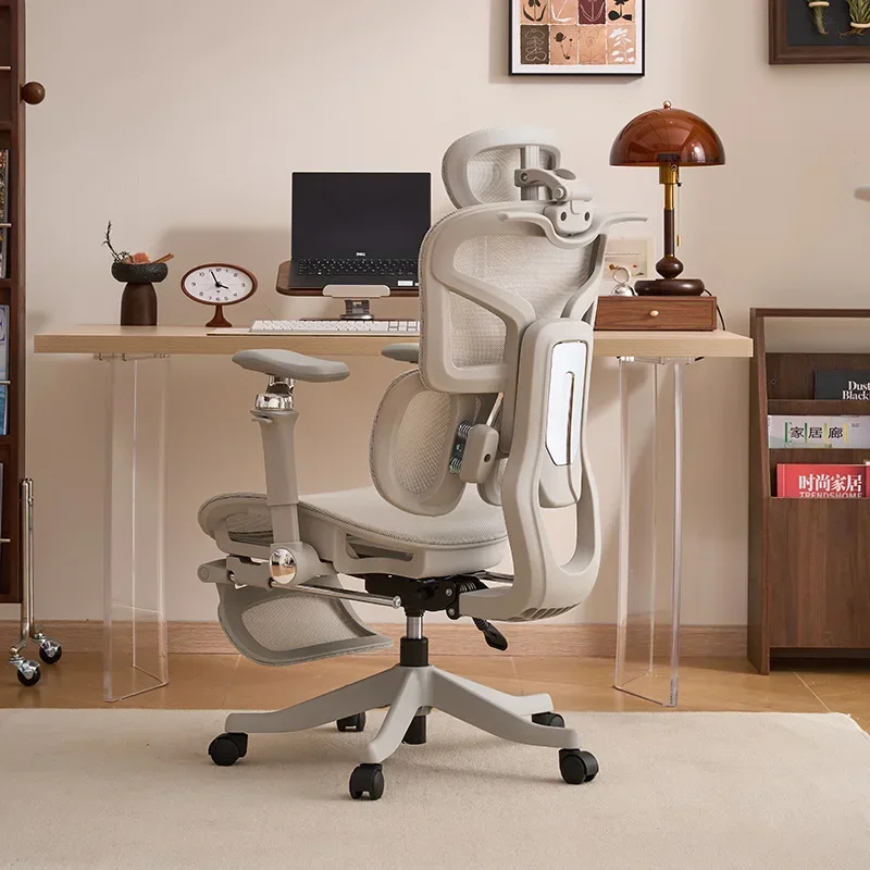 New Ergonomic chair, computer  - Gaming & Esports District review and price